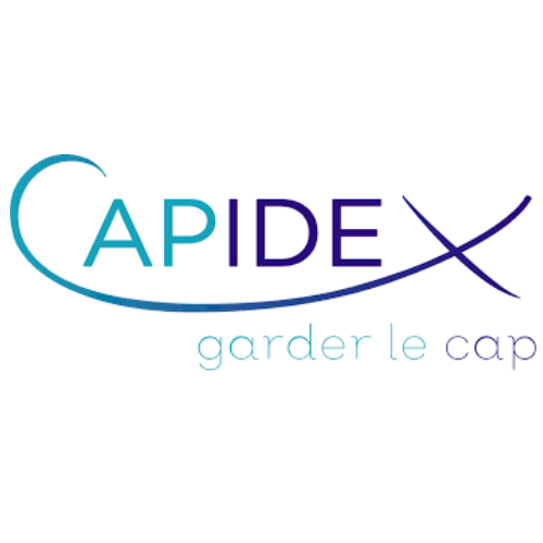 CAPIDEX ➖ Logo et charte graphique
